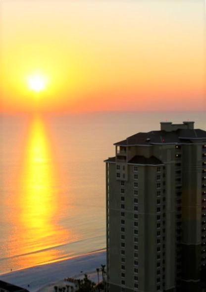 The Sand Dollar At Grand Panama